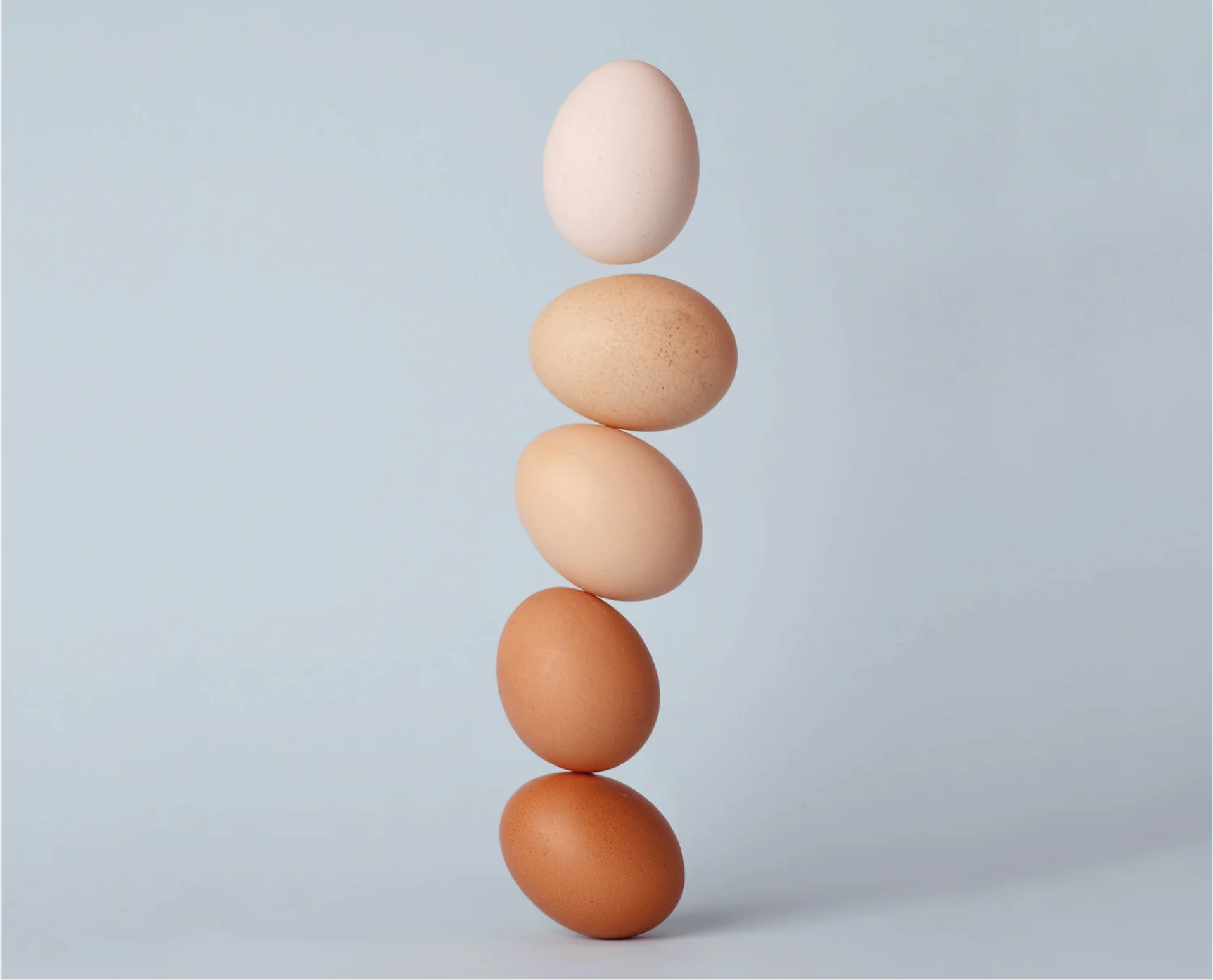 IMPROVISATION CYCLES 1-2